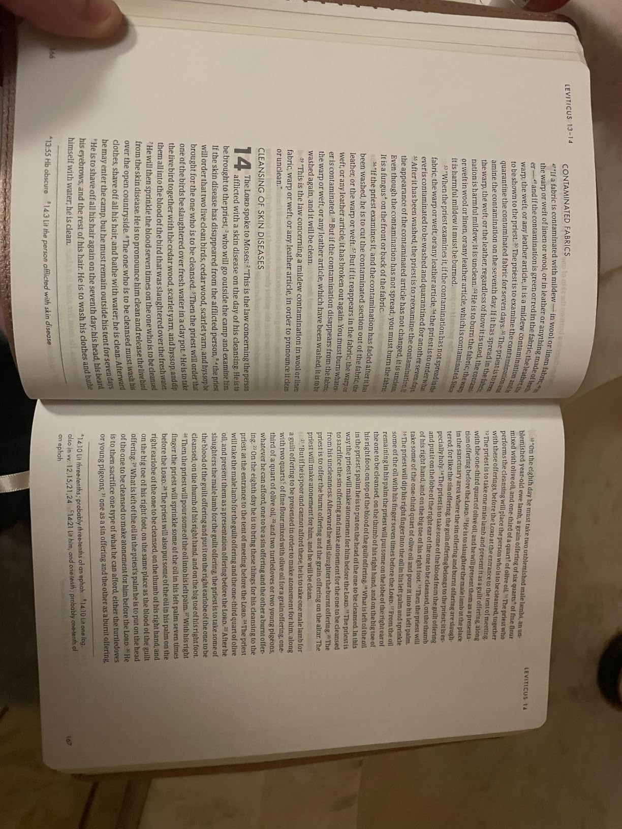 CSB She Reads Truth Bible, Rose Gold LeatherTouch, Black Letter, Full-Color Design, Wide Margins,... | Amazon (US)