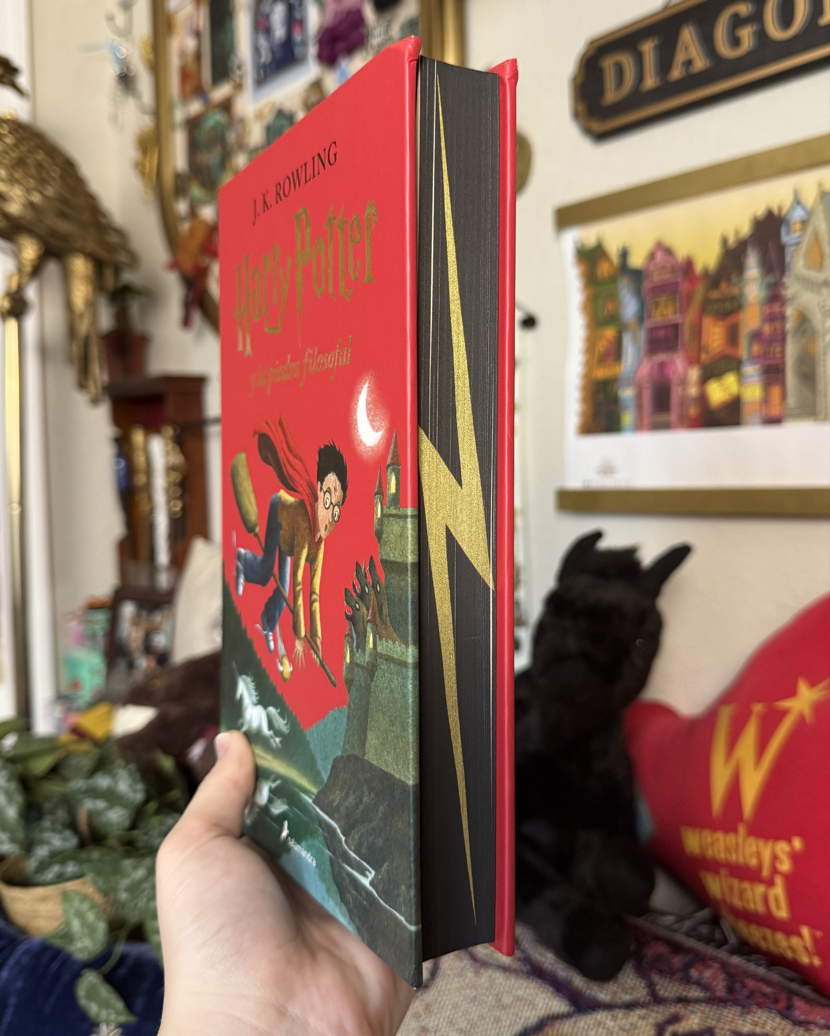 NEW Harry Potter book with sprayed edges 🤩 limited edition !

#LTKGiftGuide #LTKSaleAlert #LTKHoliday