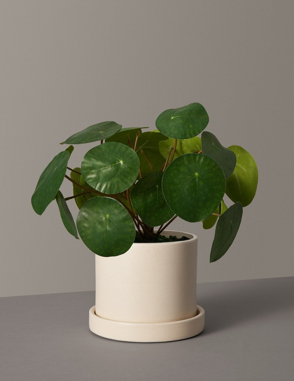 Faux Pilea Peperomioides | The Sill