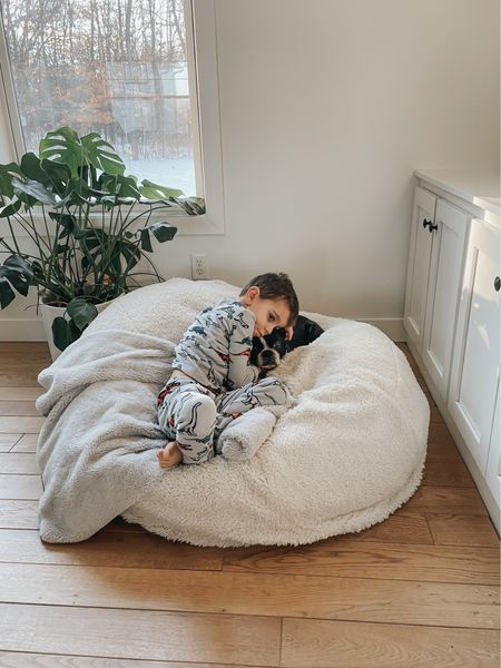 This sherpa bean bag in XL has been a favorite for everyone!

#LTKGiftGuide #LTKSeasonal #LTKHoliday
