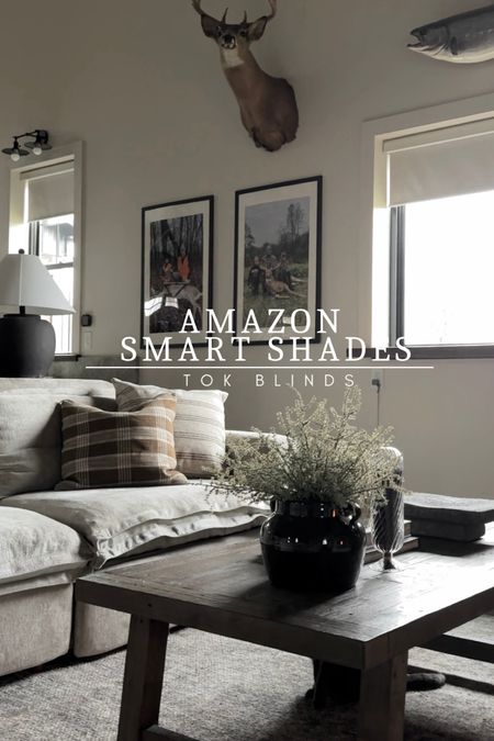 These Smart shades are my favorite thing we put in our garage, custom roller shades from Amazon, quick shipping, the color of mine are textured, beige, black out, window treatments

#LTKhome #LTKstyletip #LTKsalealert