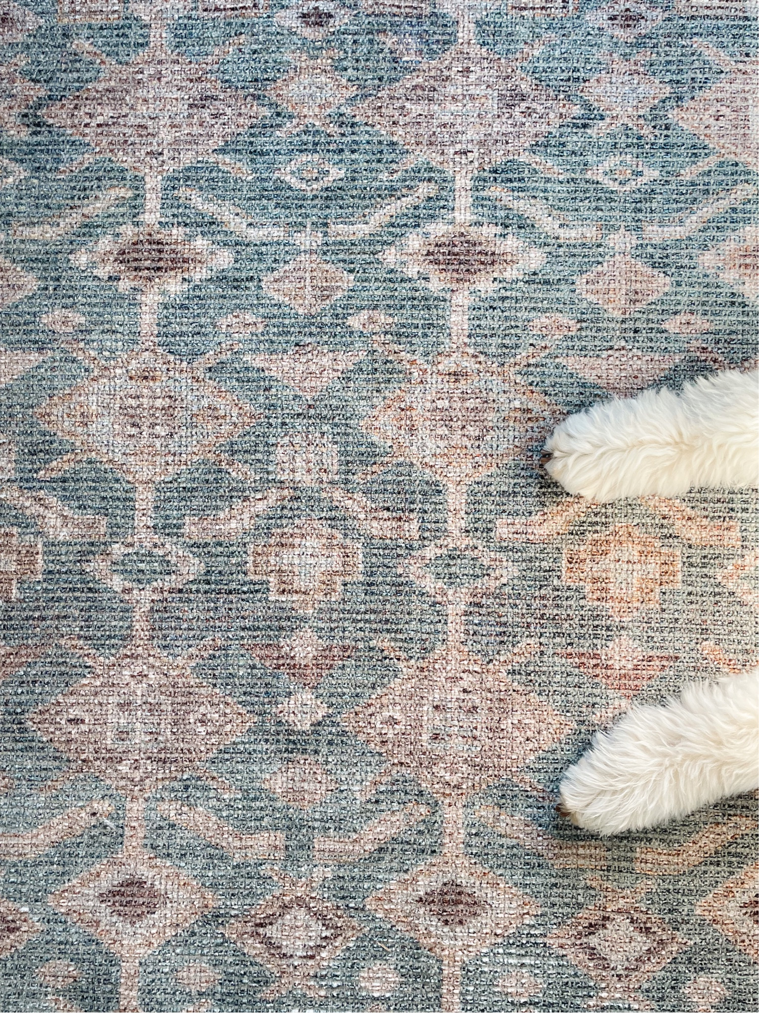 @loloirugs @angelarosehome  #AngelaRosexLoloi

#LTKhome #LTKSeasonal