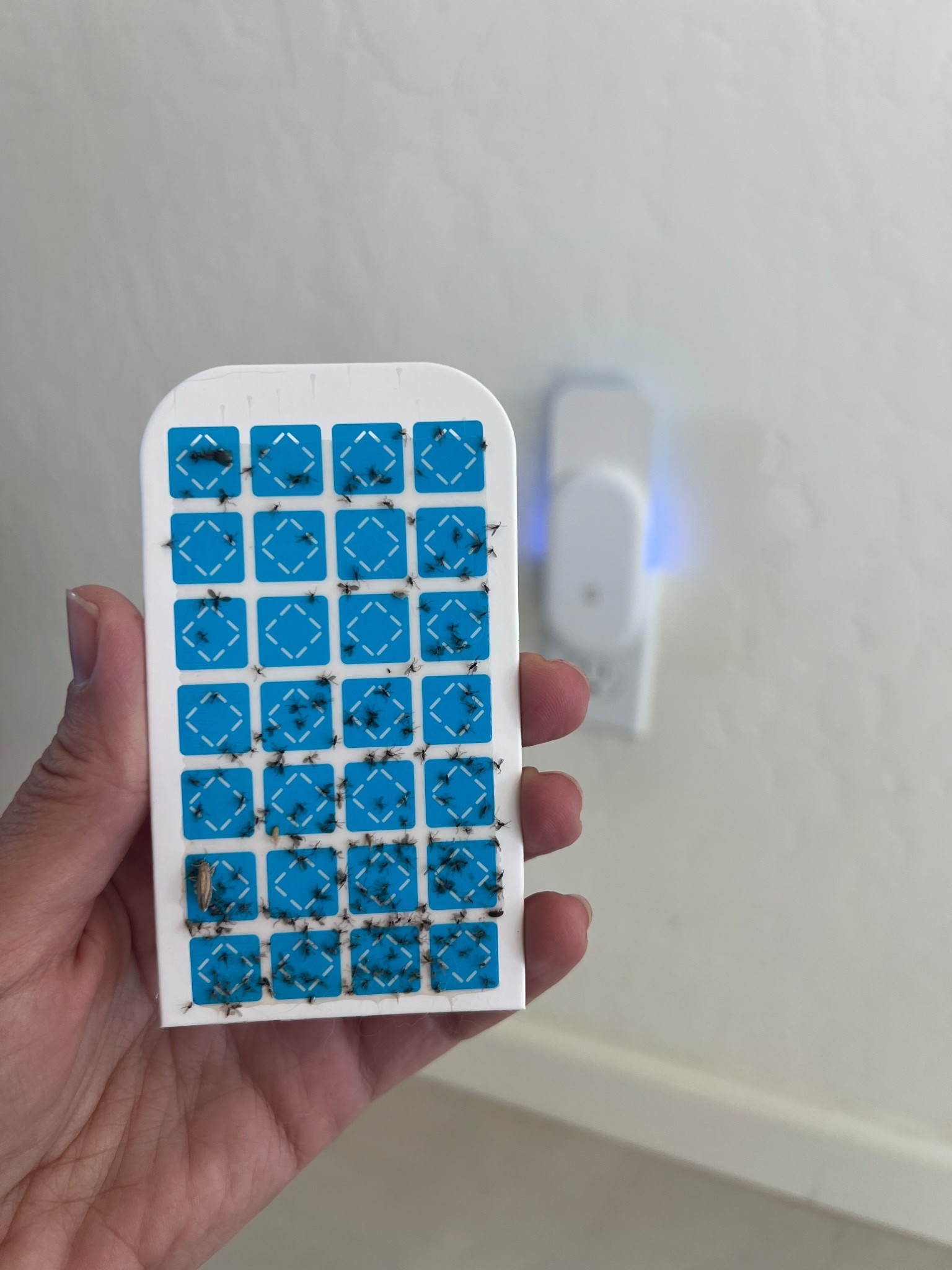 Flying Insect Trap, 2 in 1 Indoor Plug-in Fruit Fly/mosquito Trap, 1 Trap White and 6 Glue Cards 

#LTKFamily #LTKHome