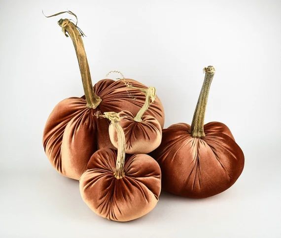 Velvet Pumpkin in Copper with a Real Stem | Etsy (US)