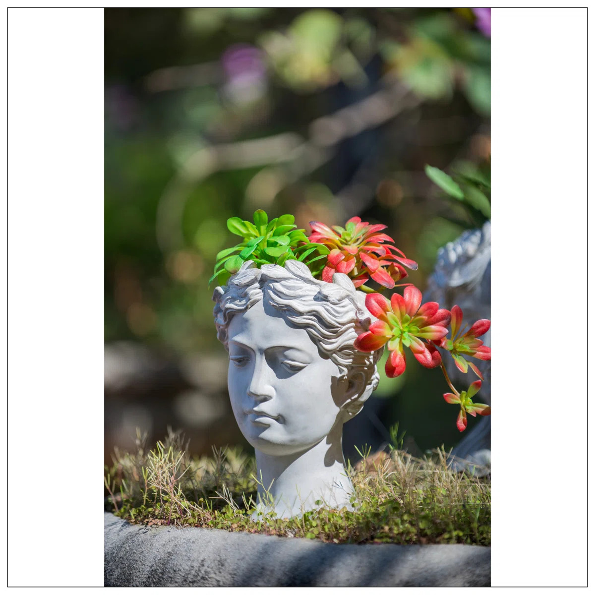 Greek Style Cement Head Planter - Indoor Outdoor Home Garden Decor, D7" X 11" | Wayfair North America