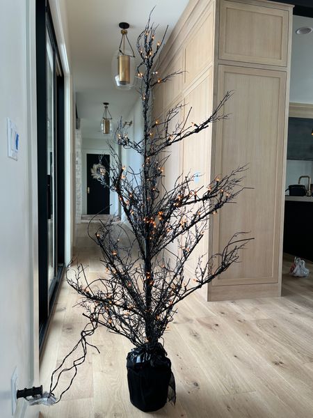 Twiggy tree! This is going to be a great piece year after year! Different heights and the perfect Halloween decor item  

#LTKSeasonal #LTKSale #LTKHalloween