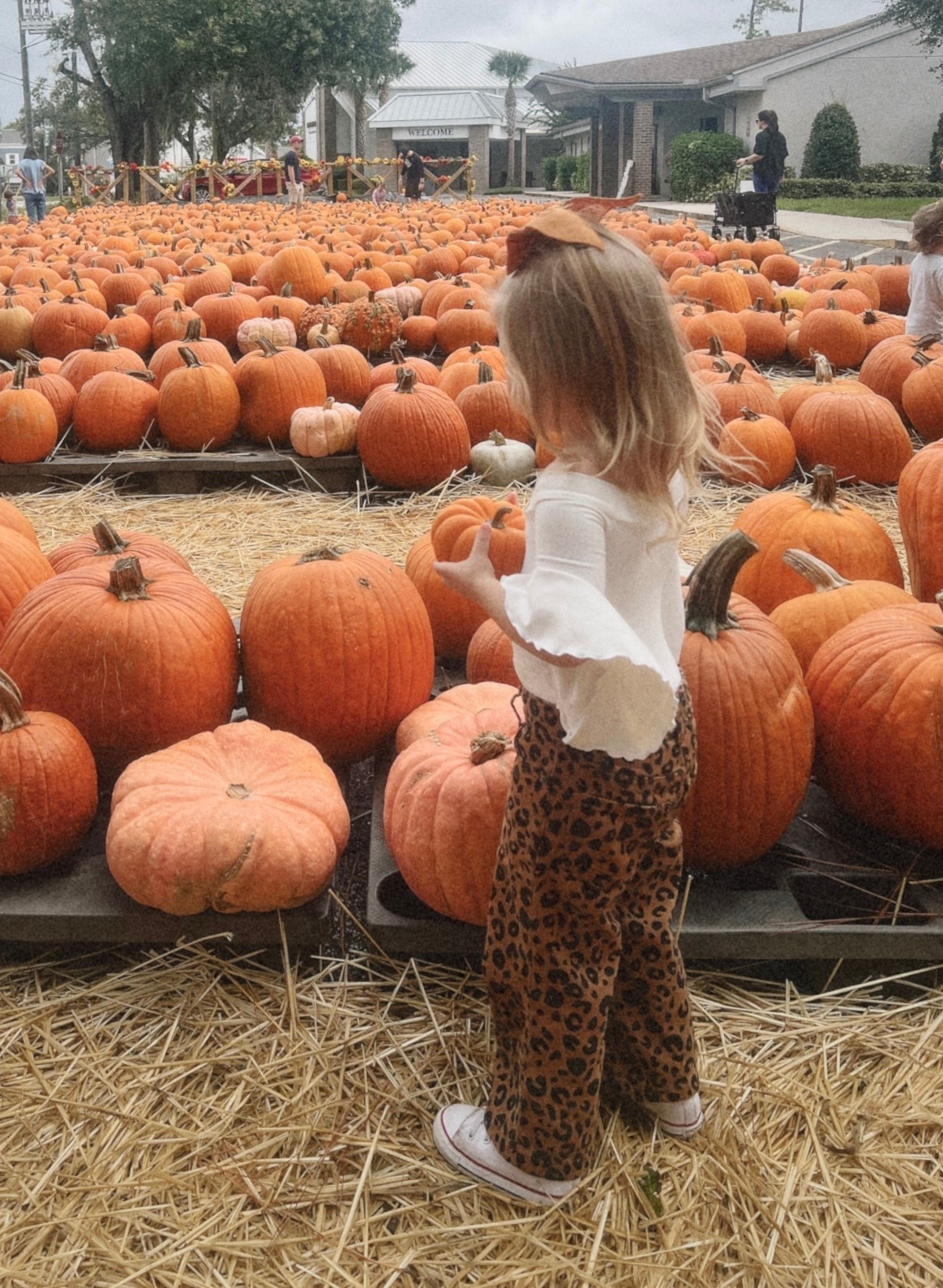 Fall toddler style. 🍁🎃

#LTKSeasonal #LTKHalloween #LTKKids