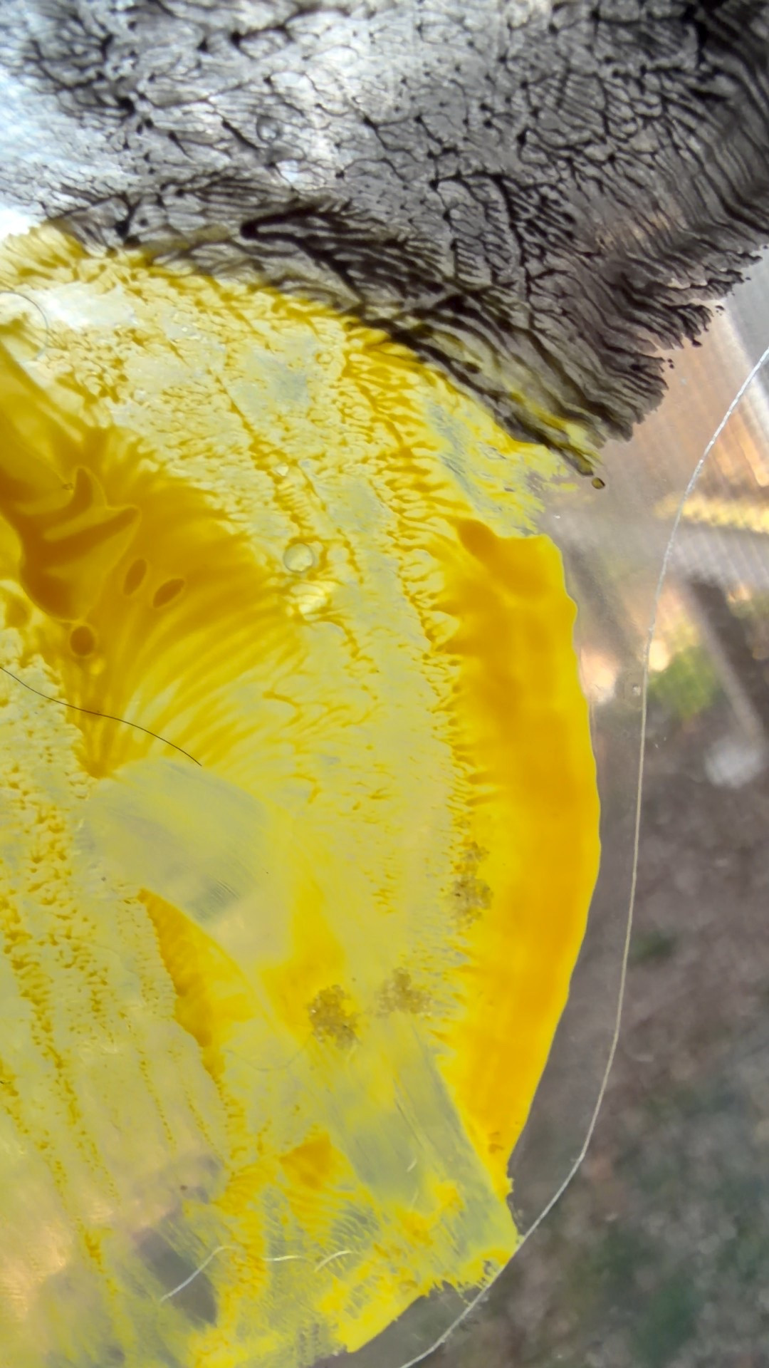 Laminator

#LTKmomlife #LTKKids
