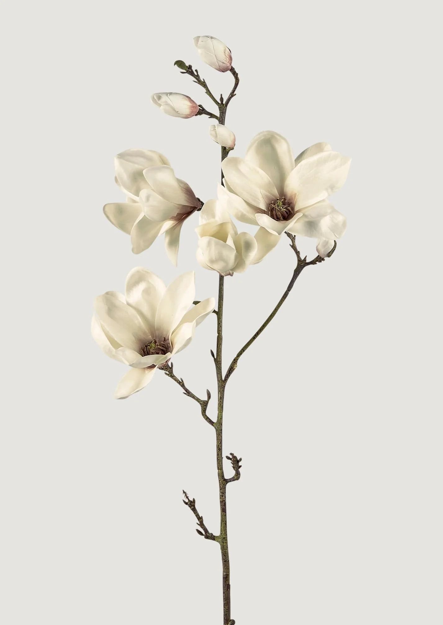 Faux Blooming Magnolia Branch - 35" | Afloral