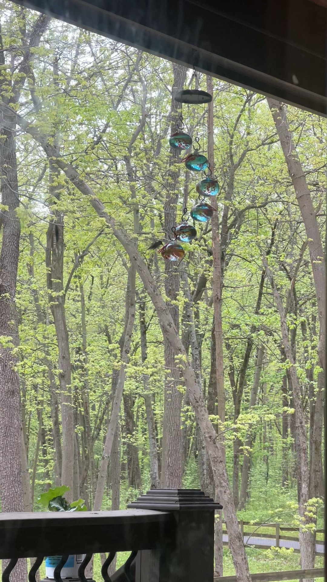 The cutest hummingbird feeder🤍

#LTKSaleAlert #LTKHome #LTKPets