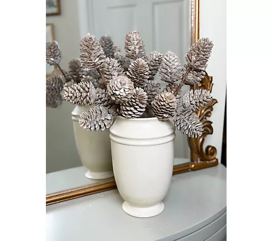 Simply Stunning Set of 3 Golden Ponderosa Pinecones by Janine Graff | QVC
