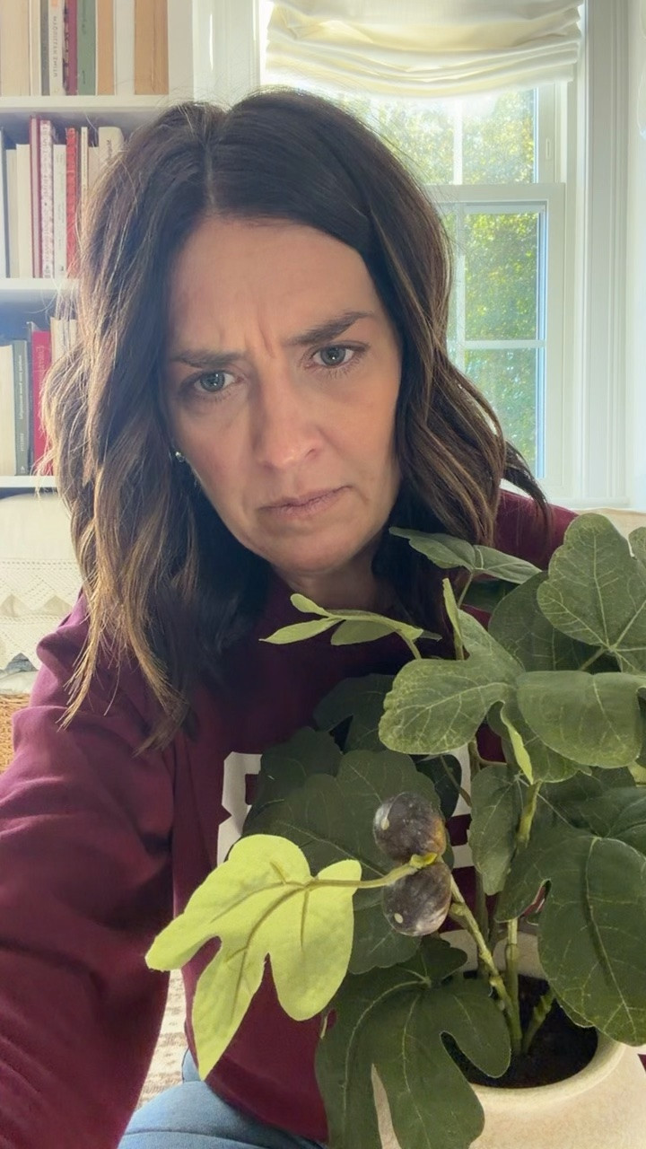 Realistic faux fig plant from Walmart. Only $20!

#LTKHome #LTKSeasonal
