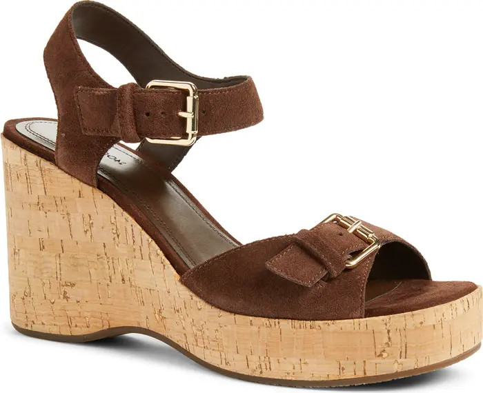 Nomi Ankle Strap Platform Wedge Sandal (Women) | Nordstrom