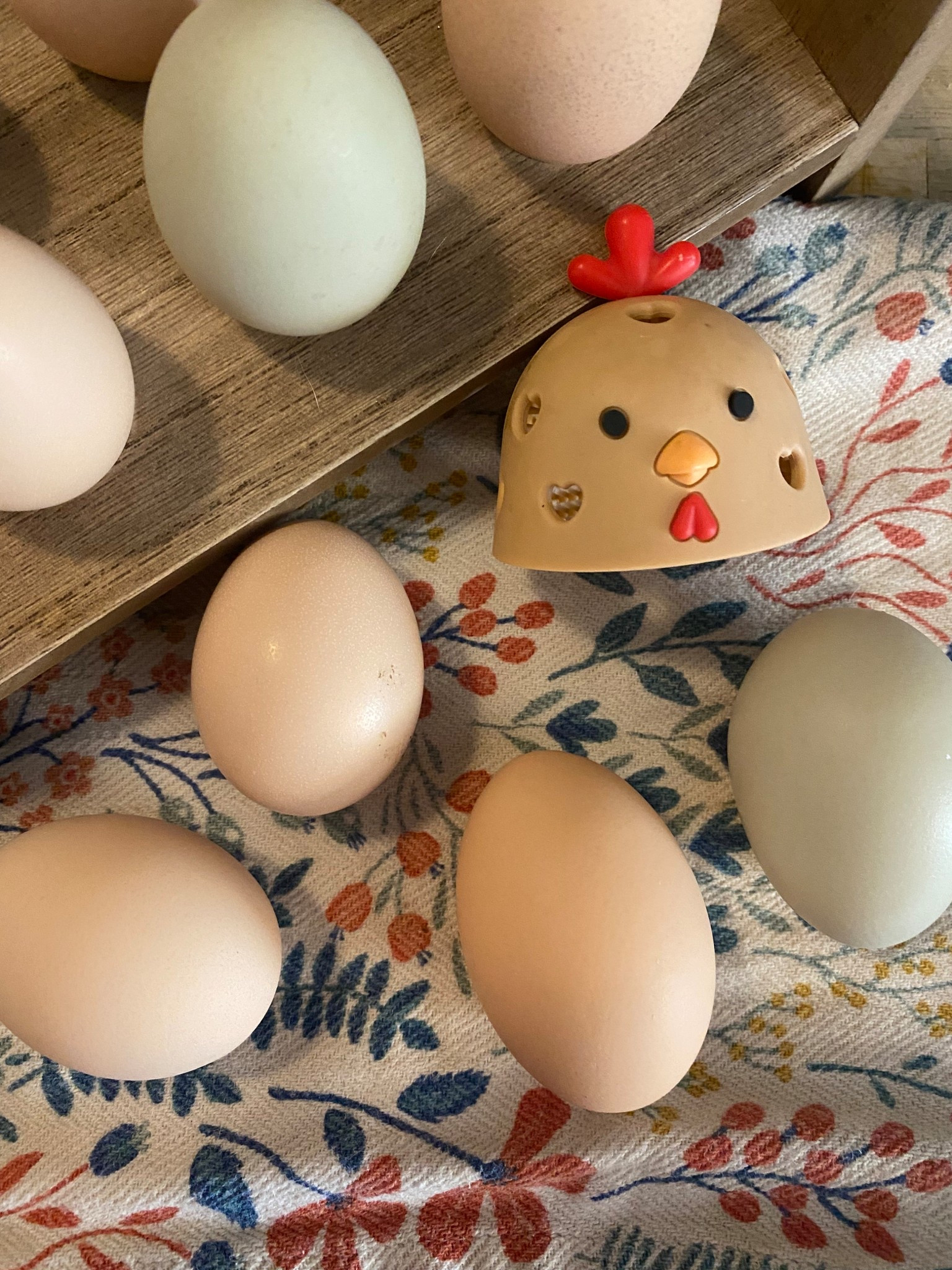 So blessed to have fresh eggs each morning. This chicken brush makes cleaning so much easier and so cute on the counter! 