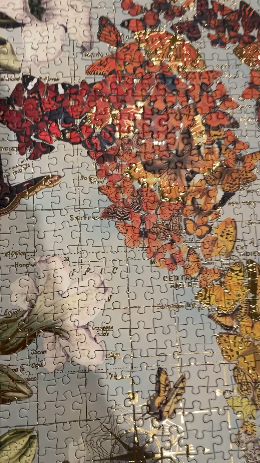They’re saying old lady hobbies keep the brain sharp 🧠 

Between reading, puzzles, (and possibly knitting 🤔) I should be good. 

Working on this 1000 piece puzzle has been the highlight of my week. 🧩 