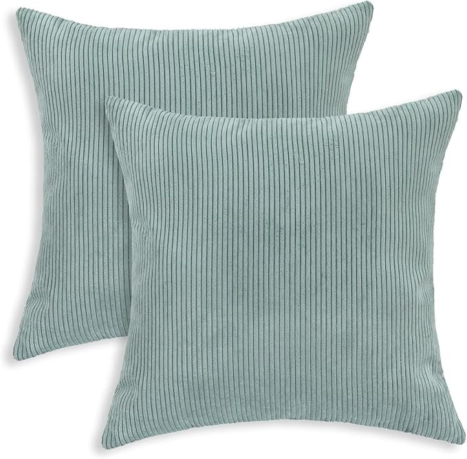 Amazon.com: CaliTime Pack of 2 Cozy Throw Pillow Covers Cases for Couch Bed Sofa Ultra Soft Cordu... | Amazon (US)
