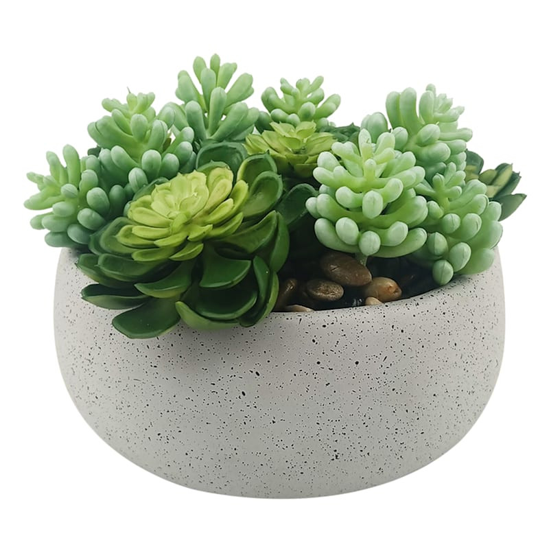 Mixed Succulents in Cement Vessel, 6"








	
		
		
			
				5
			
			
				(
				10
				) | At Home