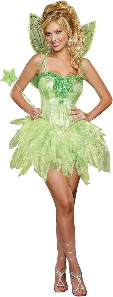 Dreamgirl Fairy-Licious Costume for Women | Amazon (US)