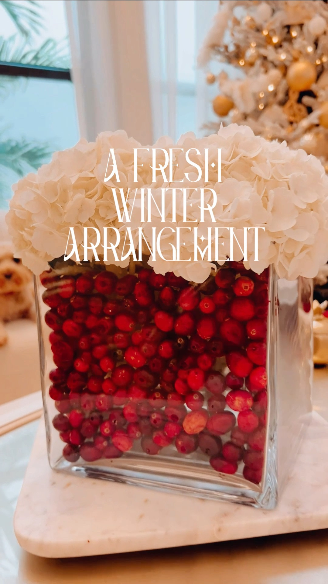 In Italy, the holidays end on January 6th, so I am still enjoying the last bit of the festive atmosphere as we transition to January. 
Today I am showing you how to prepare an effortless winter centerpiece. I still have a lot of cranberries at home, so I used them to prepare the base of the vase. Using two nesting vases allows you to make creative floral arrangements within minutes. Pure white hydrangeas create a beautiful and fresh contrast with the red of the cranberries. Et voilà! We will enjoy this for the rest of the week. 

#LTKhome #LTKSeasonal #LTKwedding