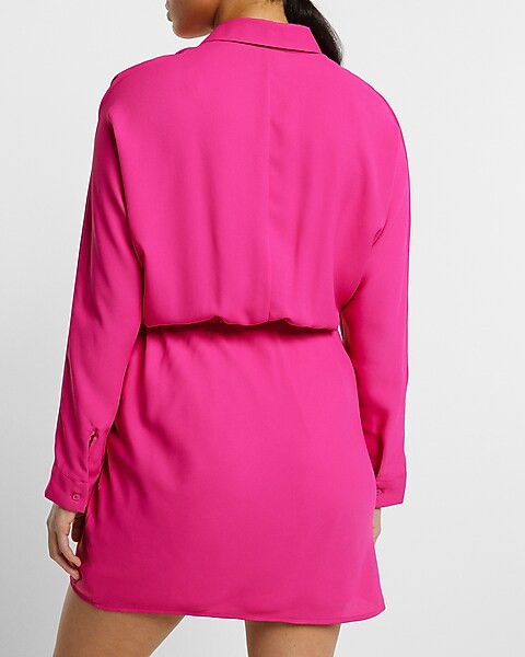 Collared Half Button Front Mini Portofino Shirt Dress | Express