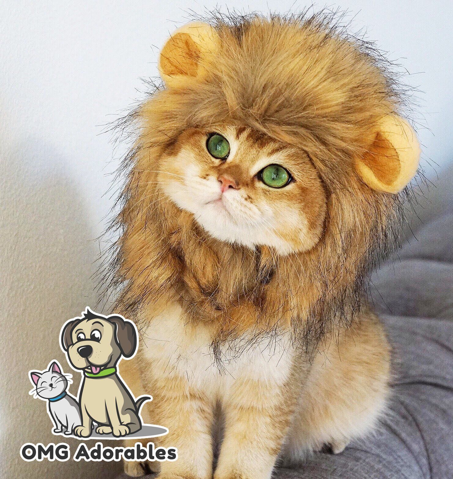 Cat lion Costume  | Amazon (US)