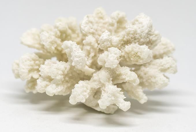 Nautical Crush Trading White Resin Sea Coral Piece | Aquarium Ornament for Decoration | Sea Coral... | Amazon (US)