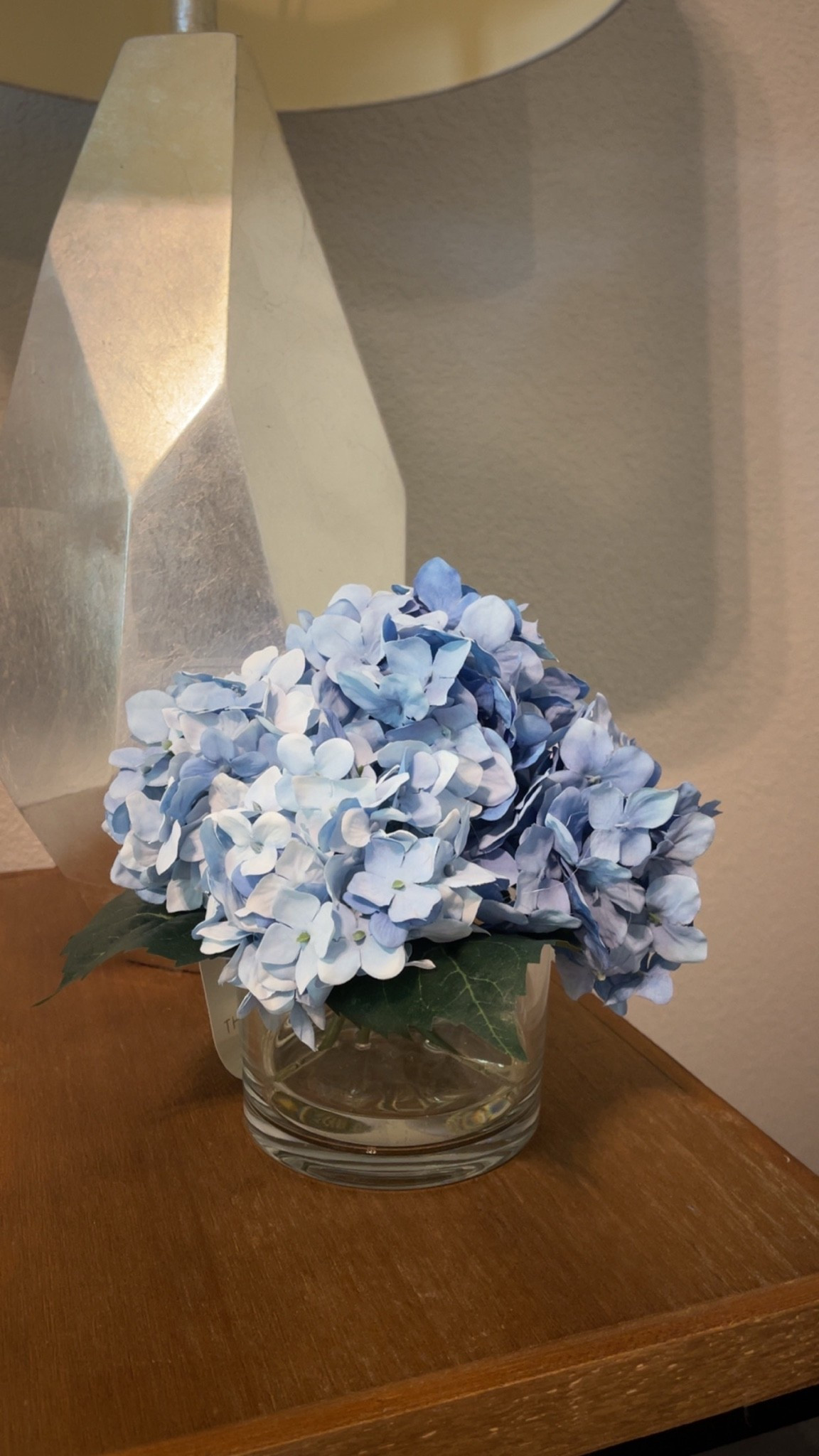 Target Faux Hydrangea Arrangement 

Target blue hydrangea, blue faux floral, target blue decor, target spring decor, target home, target faux hydrangea arrangement, faux hydrangea arrangement, artificial hydrangea bouquet, realistic faux hydrangeas, faux hydrangea centerpiece, blue hydrangea decor, blue faux hydrangea, faux blue hydrangea flowers, artificial blue flowers, spring hydrangea decor, summer hydrangea decor, seasonal floral decor, spring home decor, summer home decor, target home decor, target decor finds, target home, target spring decor, target summer decor, target blue decor, blue home decor, blue aesthetic decor, soft blue decor, coastal blue decor, cottage style decor, classic home decor, timeless home decor, elegant home decor, neutral floral decor, statement floral arrangement, centerpiece floral arrangement, coffee table flowers, dining table centerpiece, entryway floral decor, shelf styling flowers, dresser decor flowers, faux flower arrangement, artificial floral arrangement, luxury faux flowers, affordable faux flowers, realistic artificial flowers, designer inspired decor, studio mcgee target decor, hearth and hand target decor, magnolia inspired decor, trending target finds, viral target home finds, elevated everyday decor, cozy home styling, curated home decor, modern traditional decor, farmhouse floral decor, organic modern decor, soft neutral styling, home styling ideas

#LTKHome #LTKSeasonal #LTKdayinmylife