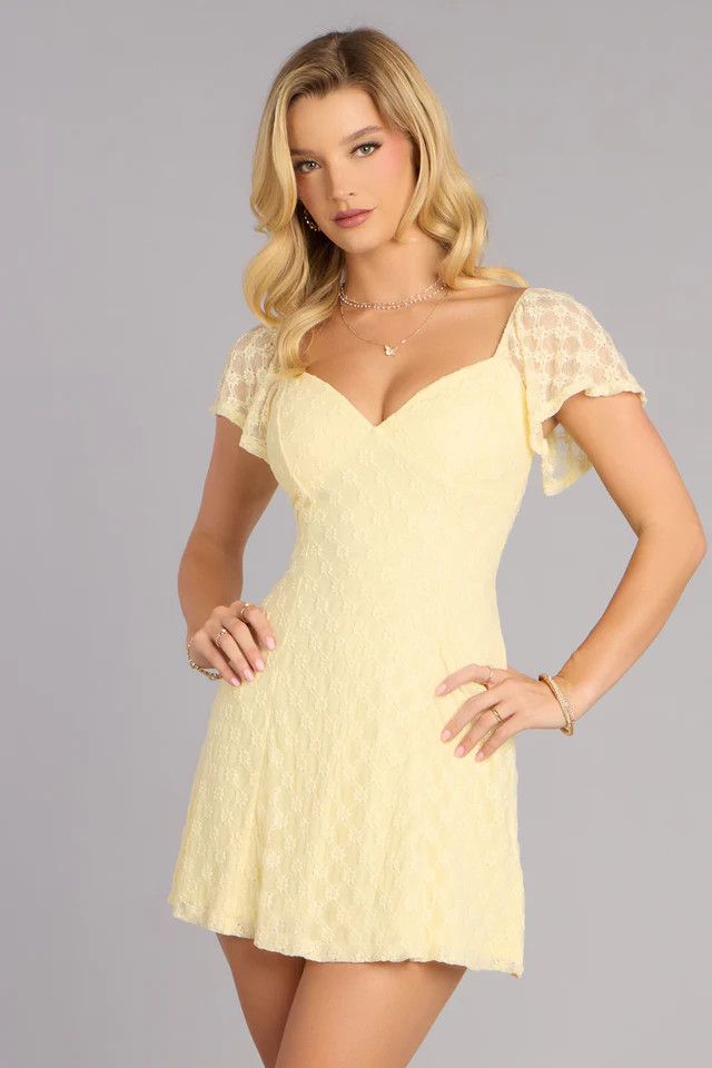 Soft Girl Season Lace A-Line Mini Dress | Windsor Stores