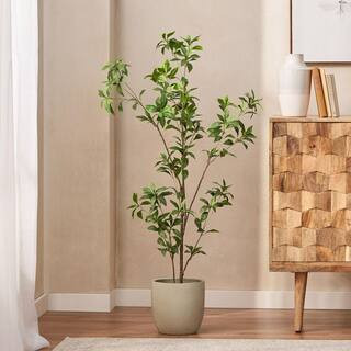 Noble House Hartshorn 4 ft. Artificial Other Pieris Tree 109126 - The Home Depot | The Home Depot