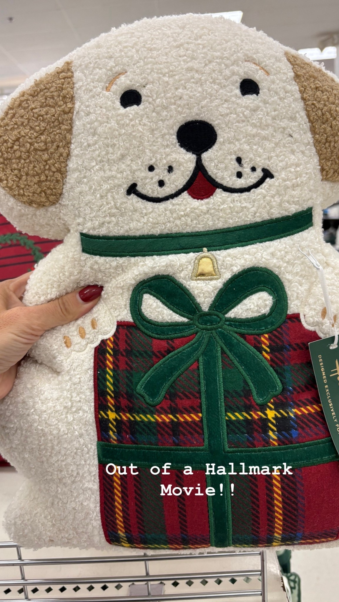 Festive dog pillow for holiday decor 

#LTKFindsUnder50 #LTKHome #LTKHoliday