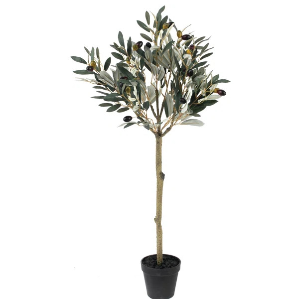 Leaf Topiary Olive Tree in Pot | Wayfair North America