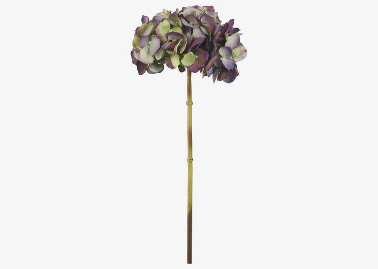 Gretel Hydrangea Stem Purple | Urban Barn