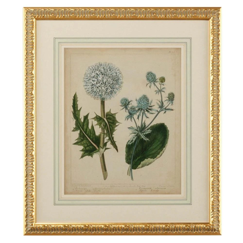 Kiana French Country Cottage Florals III Gold Leaf Frame Illustration | Kathy Kuo Home