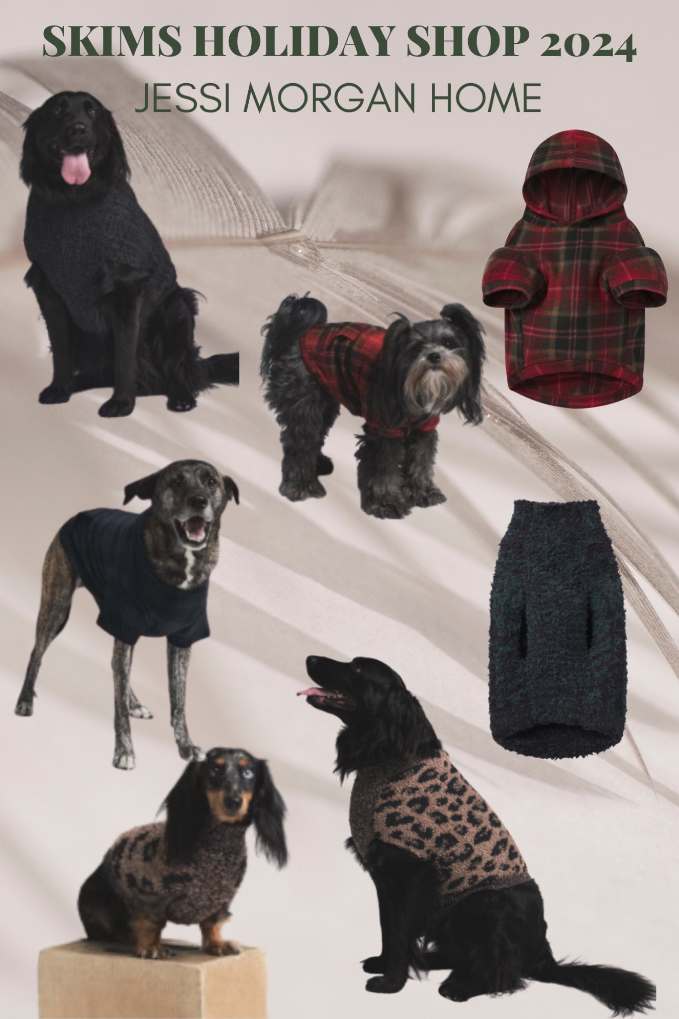 Skims Holiday Shop
Dog
Pajamas
Holiday outfit
Man’s best friend
Puppy
Christian PJs
Family


#LTKGiftGuide #LTKSeasonal #LTKFamily