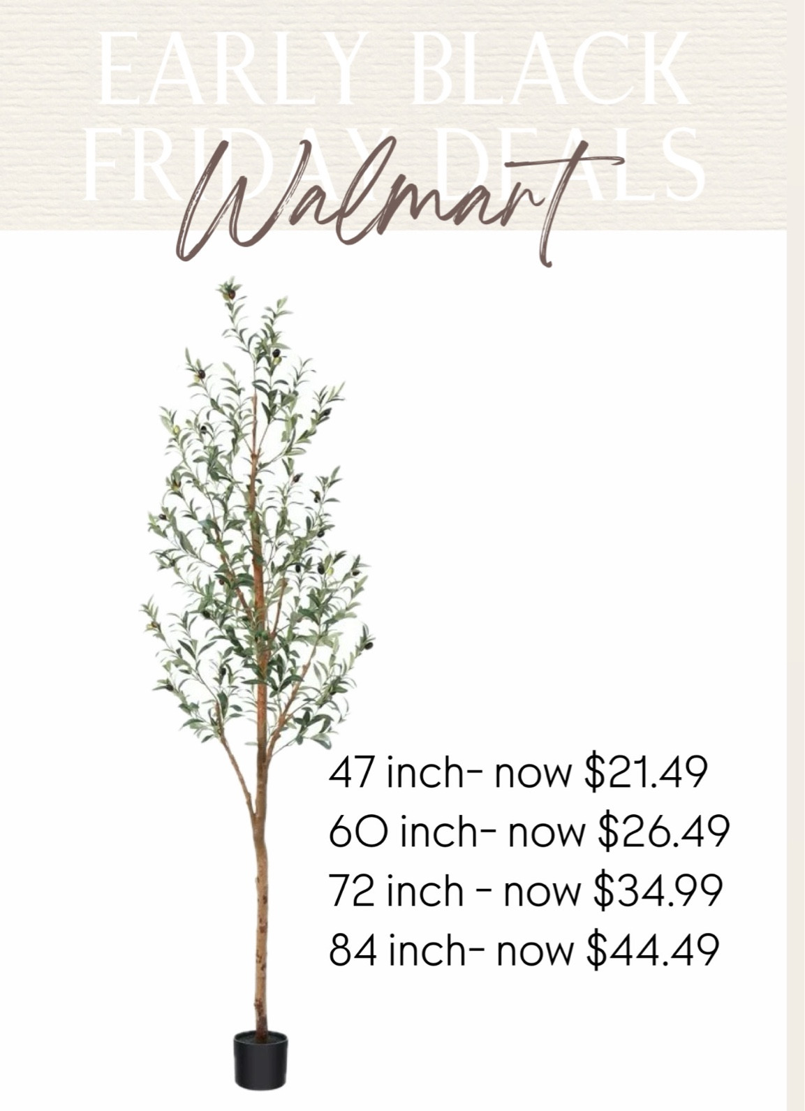Olive tree is on sale for early Black Friday deals on Walmart!!!

#LTKSaleAlert #LTKGiftGuide #LTKHome