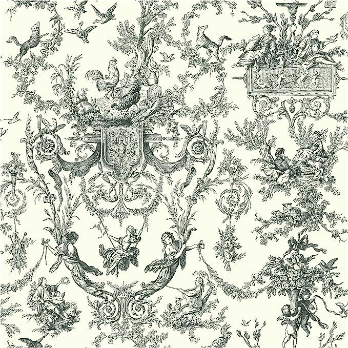 York Wallcoverings Ashford Toiles Old World Toile Prepasted Removable Wallpaper, White/Black | Amazon (US)