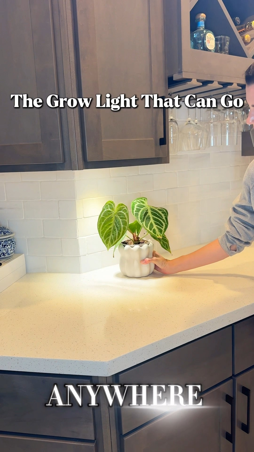 ✨ Use code JACQUELYNGROWS for 20% off on the Barrina website! ✨ The rechargeable grow lights can only be found on Barrina’s website right now. I have the wired puck grow lights linked below. ￼

A rechargeable grow light that actually gives your plants the light they need? I was sold immediately. 🤩🌿

And the best part? The @barrina OG03C rechargeable grow light is finally back in stock today! 🙌

It makes it easy to add extra light wherever your plants need a boost without being limited by the location of a power outlet.

I’ve already started thinking of all the spots in my home that can finally become plant spaces. 😍

If you’re always looking for creative ways to fit more plants into your home, this one is definitely worth checking out.

Comment GLOW for the link ✨

#houseplants #growlight #plantcare #indoorplants #plantlover

Barrina grow light | rechargeable grow light | cordless grow light | puck grow light | indoor plant light