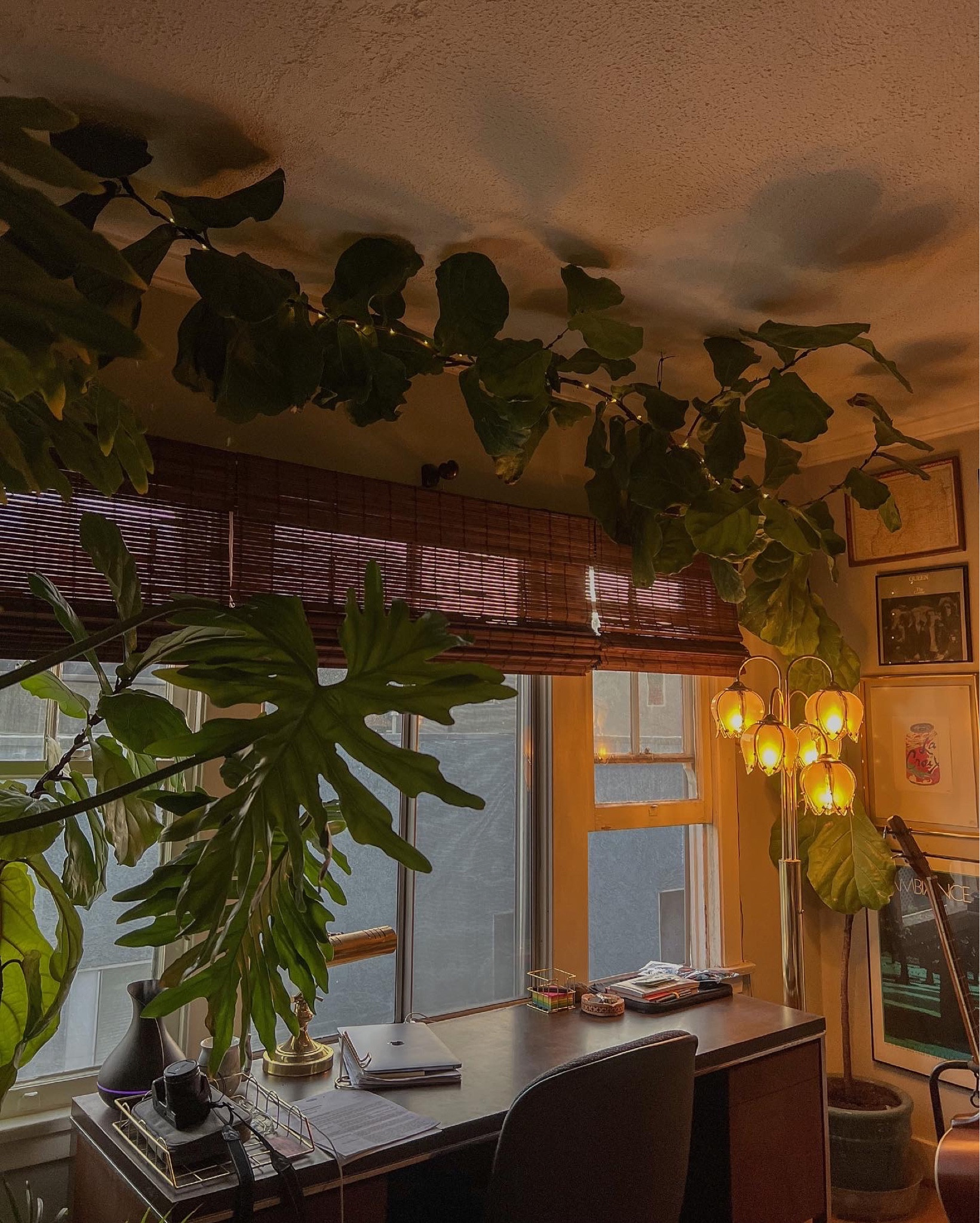 ✨🪴🧚

#LTKHoliday #LTKhome #LTKSeasonal