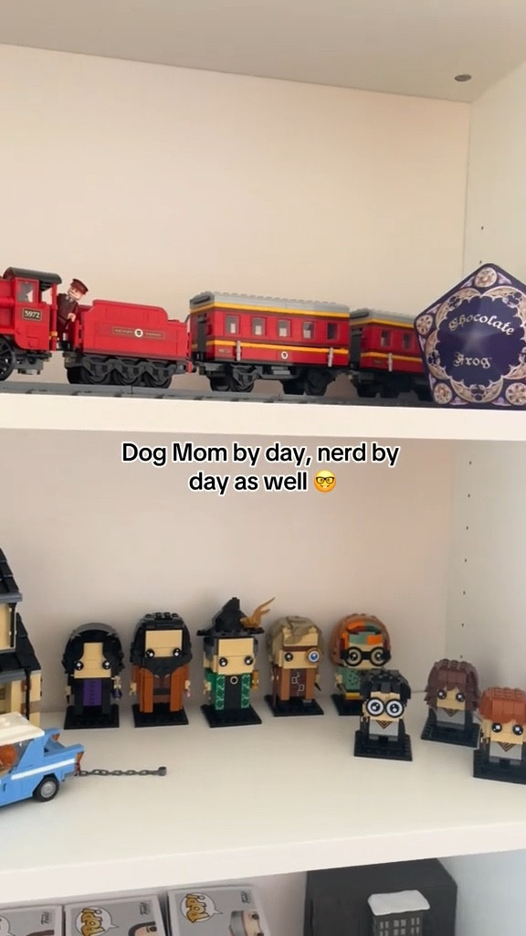 Harry Potter, Elf, funko pops, shelving for legos 

The shelf is the Billy Bookcase from IKEA but linked a similar one from Target!

#LTKfindsunder100