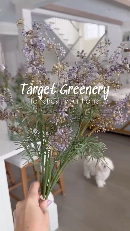 Pretty Target faux stems for your home!! So realistic and affordable!!

(6/30)

#LTKVideo #LTKStyleTip #LTKHome