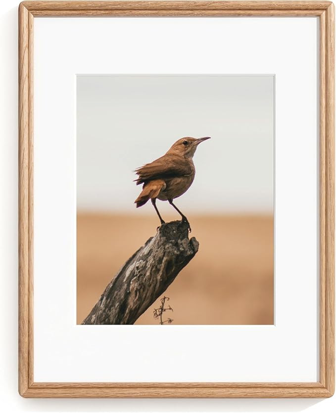 11X14 Picture Frame, Natural Solid Oak Wood Picture Frame with High Tempered Glass, Handcrafted R... | Amazon (US)