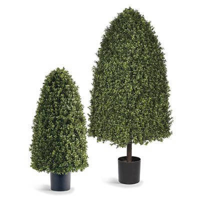 Rounded Cone Outdoor Boxwood Topiary | Frontgate | Frontgate