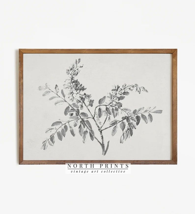Vintage Branch Sketch | Botanical Drawing PRINTABLE Digital Antique Print | 778 | Etsy (US)