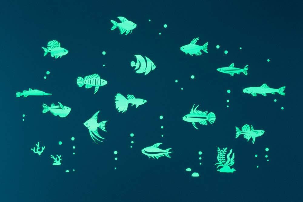 GLOPLAY Tropical Fish Series (63 pcs/Pack), Glow in The Dark Educational Wall Stickers, The Eco-F... | Amazon (US)