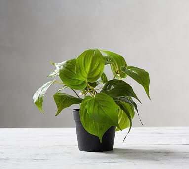 Faux Potted Pothos Houseplant | Pottery Barn (US)