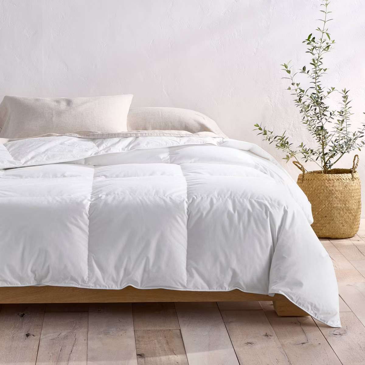 Premium Goose Down Duvet Insert - Casaluna™ | Target