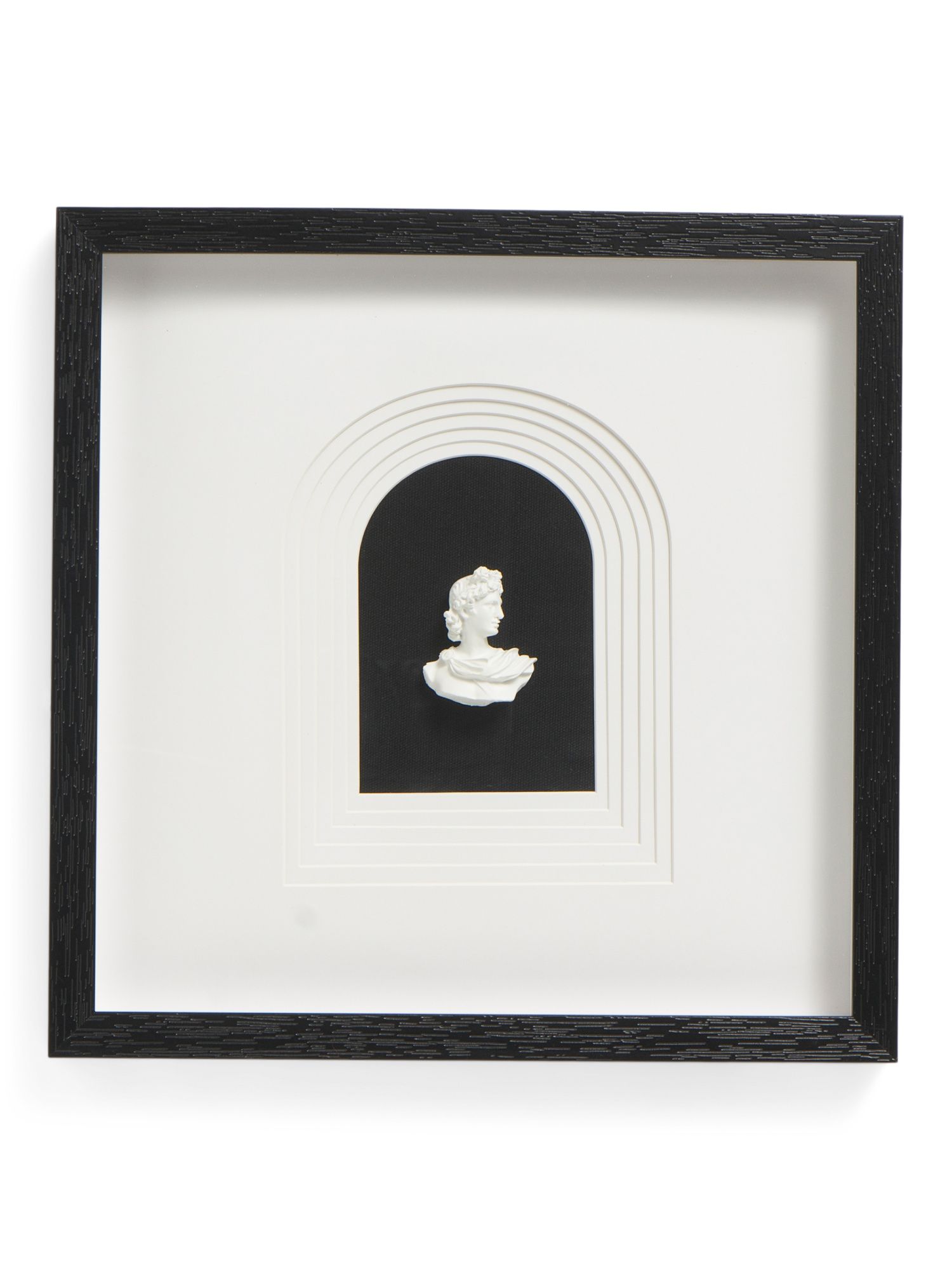14x14 White Head Portrait Wall Art With Black Frame | TJ Maxx