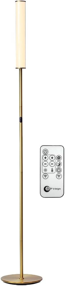 O’Bright LED Cylinder Floor Lamp with Remote Control, Full Range Dimming, Adjustable Color Temp... | Amazon (US)