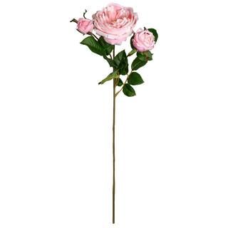 Light Pink English Rose Stem by Ashland® | Michaels Stores