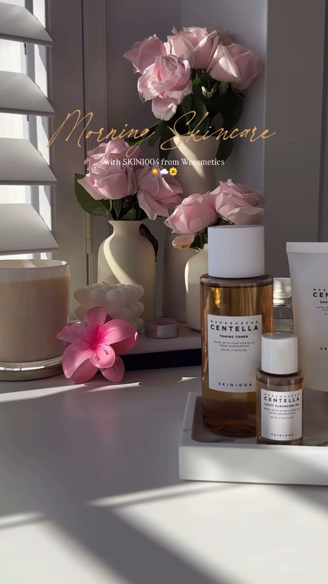 Skin1004 K beauty Best Brand

#LTKStyleTip #LTKActive #LTKHalloween